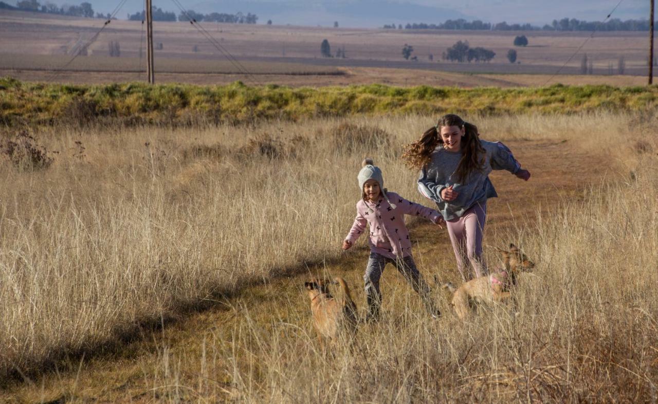 Amohela Ho Spitskop Country Retreat & Conservancy Ficksburg Kültér fotó